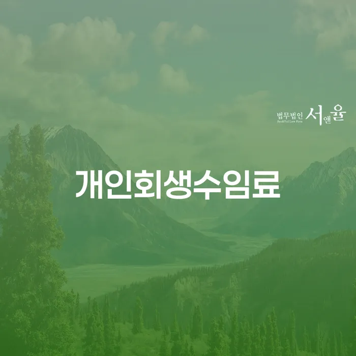 보이스피싱개인회생 신용회복 접수하자