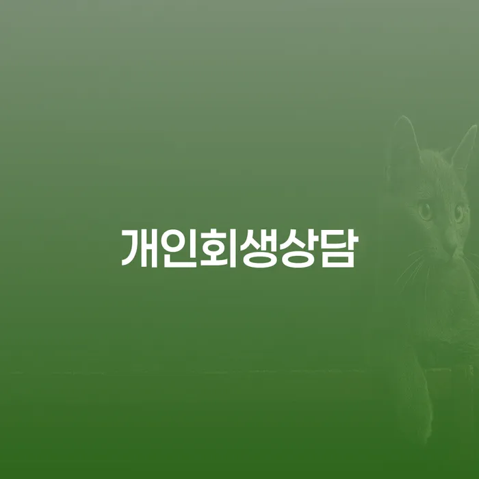 빚갚는법 개인회생 제도 무료상담진행