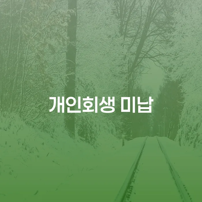 개인회생변제금 채무조정제도을 이용하여 총정리