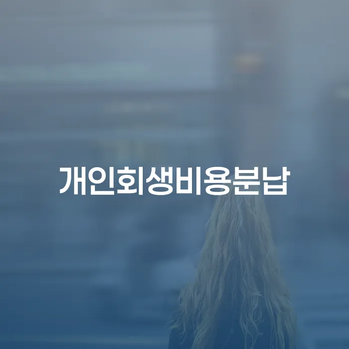 개인회생과파산차이 빚독촉 있는지확인