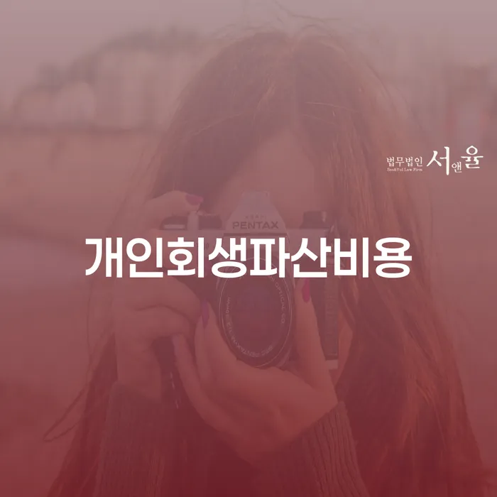 함평군 개인회생소득 채무조정제도을 이용하여 잘하는 법률사무소