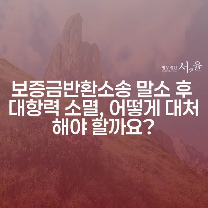 보증금반환소송 말소 후 대항력 소멸, 어떻게 대처해야 할까요?