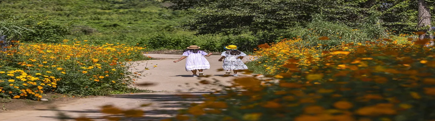 법무법인 서앤율