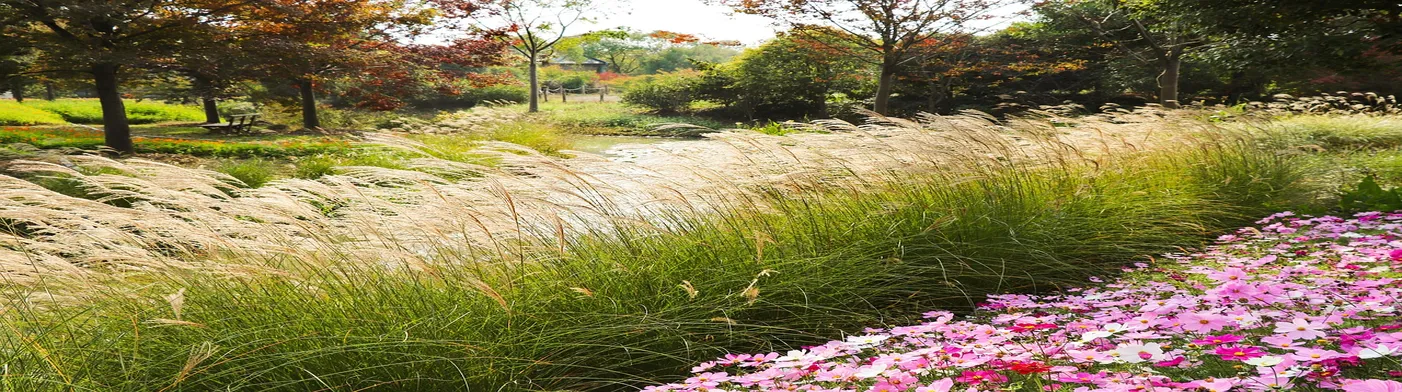 법무법인 서앤율